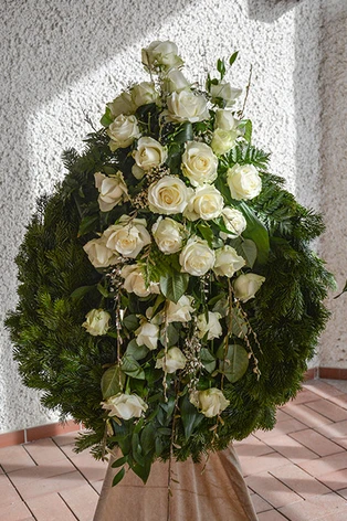 weiße Rosen